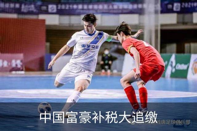 中国富豪补税大追缴