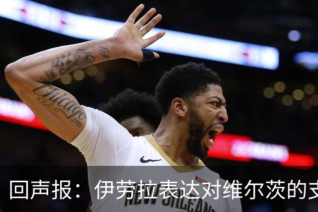 回声报：伊劳拉表达对维尔茨的支持，认为他遭遇了过于苛刻的评价