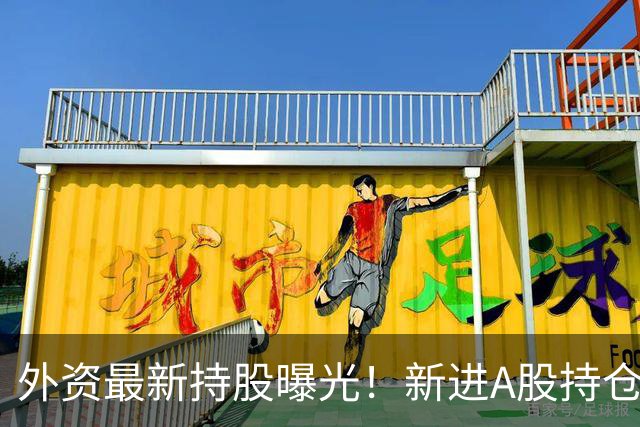 外资最新持股曝光！新进A股持仓数量前十名单来了