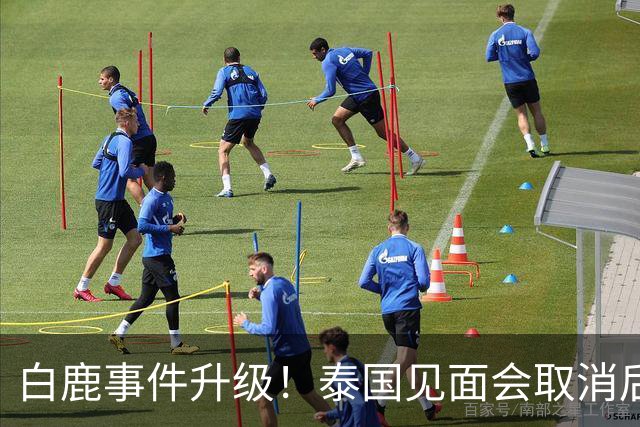 白鹿事件升级！泰国见面会取消后，缅北视频又被扒，黑历史曝光