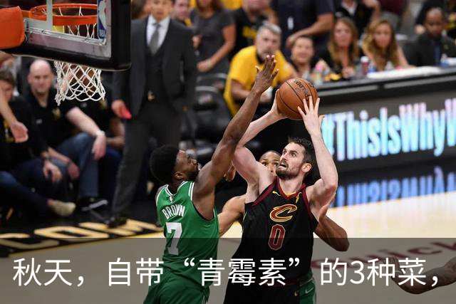 秋天，自带“青霉素”的3种菜，隔天吃一回，清热解毒、增强免疫