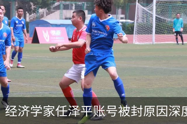 经济学家任泽平账号被封原因深度分析