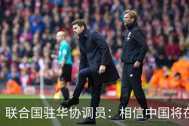 联合国驻华协调员：相信中国将在APEC会议发出重要引领性声音
