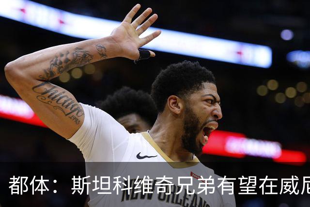 都体：斯坦科维奇兄弟有望在威尼斯与国米比赛中同场竞技