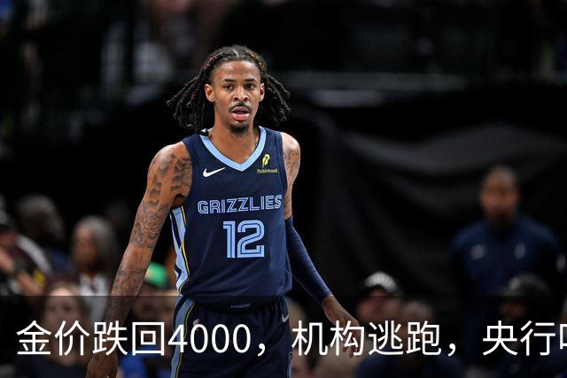金价跌回4000，机构逃跑，央行吃饱，你相信谁？