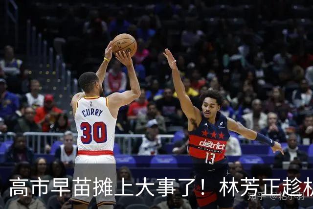 高市早苗摊上大事了！林芳正趁机逼宫高市，要为远大前程撒手一搏