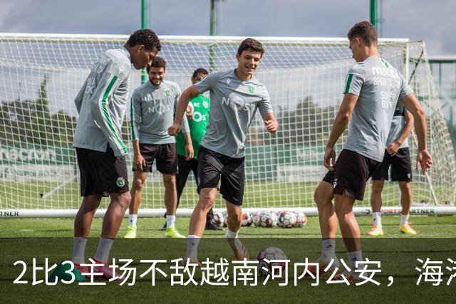 2比3主场不敌越南河内公安，海港再次诠释亚冠外战外行