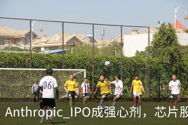 Anthropic IPO成强心剂，芯片股光通信爆发，特斯拉创三个月新高，黄金激战4000美元