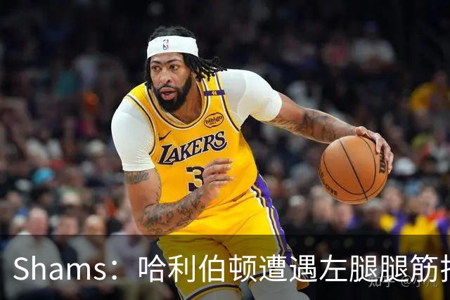 Shams：哈利伯顿遭遇左腿腿筋拉伤 将至少缺席两周